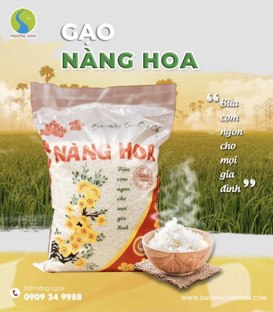Gạo ST25 Ông Cua